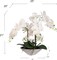 23" White Phalaenopsis Orchid - Faux Flowers, White Ceramic Vase, Elegant Decor for Home, Office, & Events - Perfect for Year-Round Display, Floral Home by Artificial Flowers